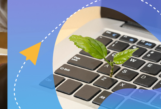 全网独家！Telegram高转化闭环打法揭秘：从广告引流到社群变现，一步到位